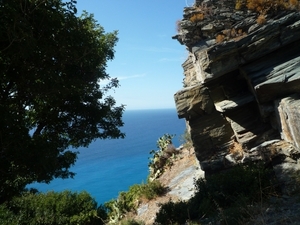 7H Cape Corse _P1170399