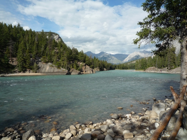 2b Banff _NP, Bow Watervallen _P1150393