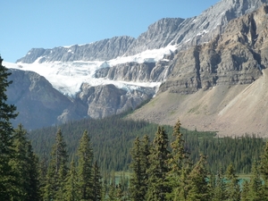 3 Banff _NP, Icefields Parkway _P1150486