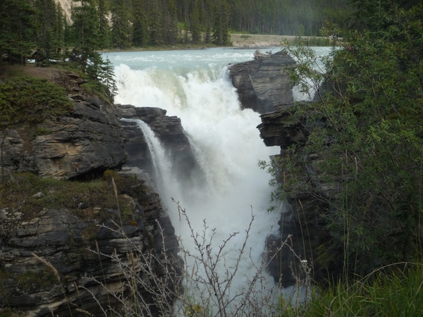 3j Jasper NP _Anabasca falls _P1150609