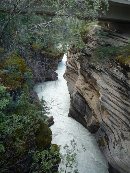 3j Jasper NP _Anabasca falls _P1150622