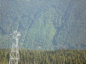 6g Whistler, Whistler mountains _P1150949