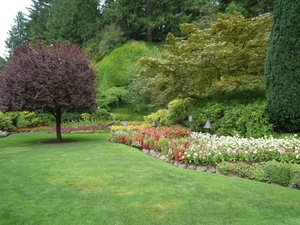 7i Vancouver Island, Butchart Gardens _P1160163