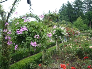 7i Vancouver Island, Butchart Gardens _P1160184