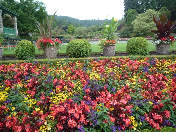 7i Vancouver Island, Butchart Gardens _P1160203