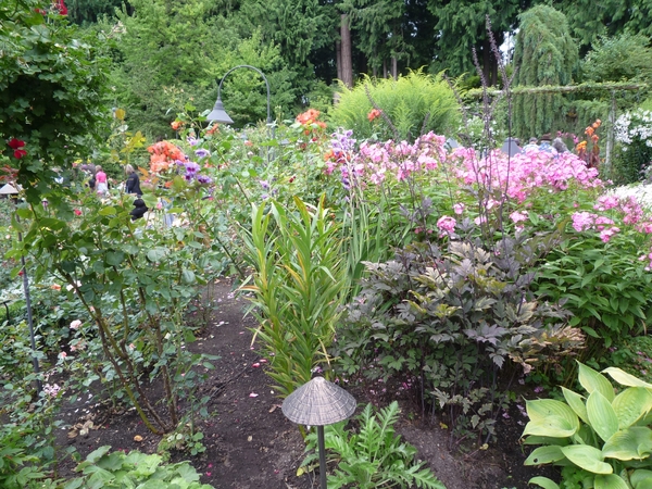 7i Vancouver Island, Butchart Gardens _P1160214