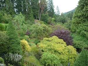 7i Vancouver Island, Butchart Gardens _P1160237