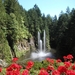 7i Vancouver Island, Butchart Gardens, The Ross Fountain 2