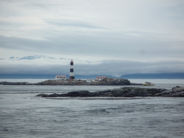 8a South Vancouver Island, whale watching _P1160314