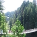 9 Vancouver _Capilano Suspension Bridge, een toeristische trekple