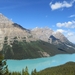 3b Banff _NP, Lake Peyto _IMG_0387
