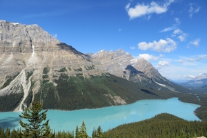 3b Banff _NP, Lake Peyto _IMG_0387