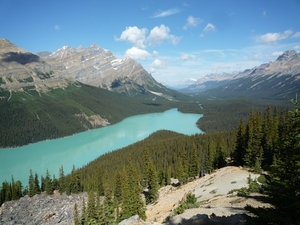 3b Banff _NP, Lake Peyto _P1150503