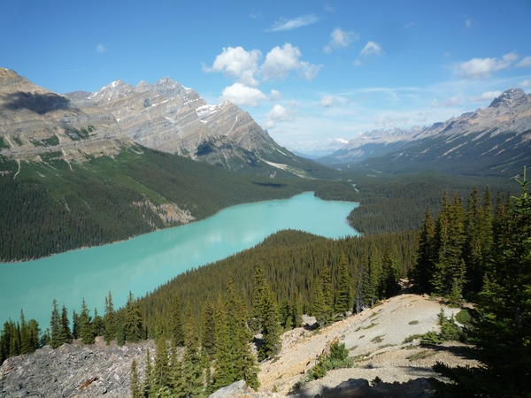 3b Banff _NP, Lake Peyto _P1150503