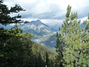 2 Banff _NP, Sulphur Mountain _P1150370