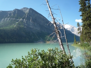 2h Banff _NP, Lake Louise _P1150453