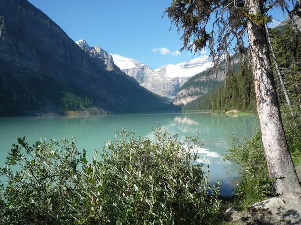 2h Banff _NP, Lake Louise _P1150454
