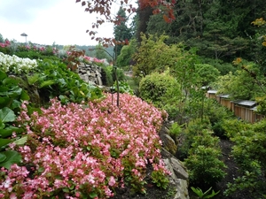 7i Vancouver Island, Butchart Gardens _P1160195