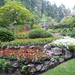 7i Vancouver Island, Butchart Gardens _P1160227
