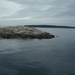 8a South Vancouver Island, whale watching _P1160366