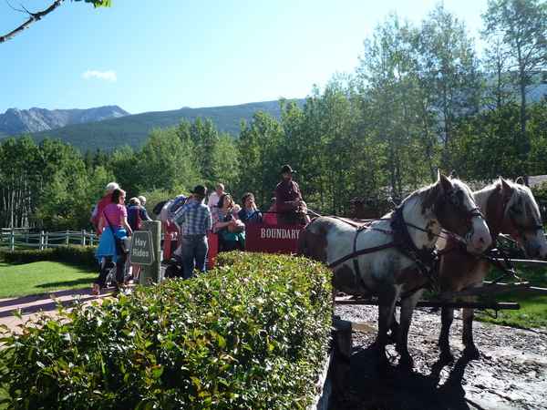 1d Calgary-Banff, Kananaskis Vallei, westen farm _P1150289 GRP