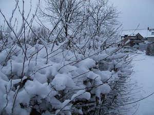 Gavere Januari 2013 005