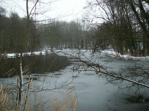 Gavere Januari 2013 009