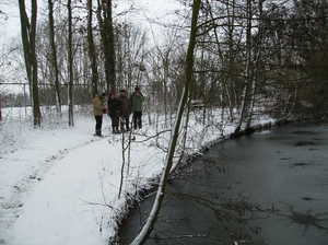 Gavere Januari 2013 011