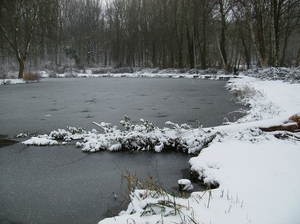 Gavere Januari 2013 013