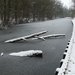 Gavere Januari 2013 015