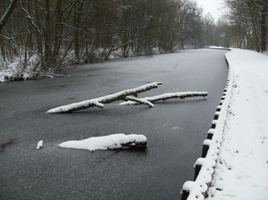 Gavere Januari 2013 015