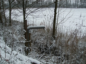 Gavere Januari 2013 016