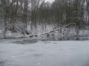 Gavere Januari 2013 017