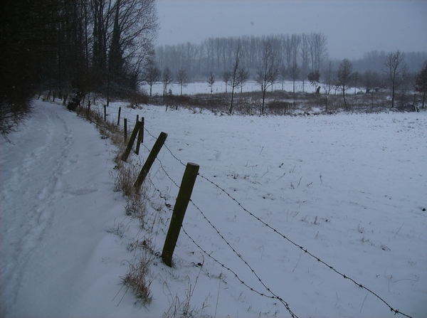 Gavere Januari 2013 018
