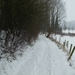 Gavere Januari 2013 020