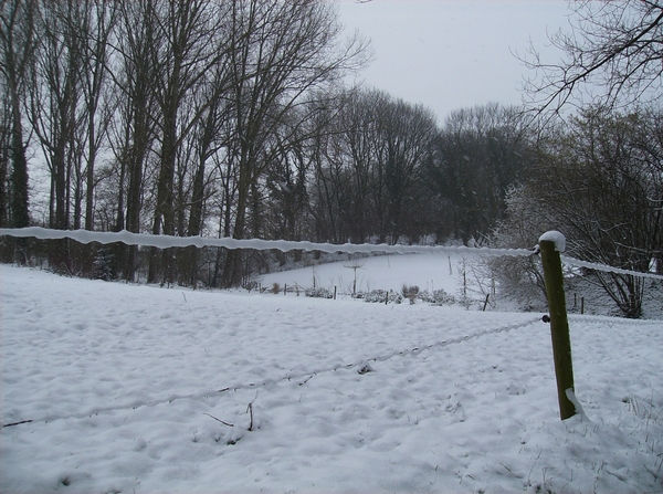 Gavere Januari 2013 021