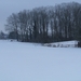 Gavere Januari 2013 024