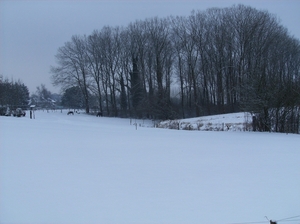 Gavere Januari 2013 024