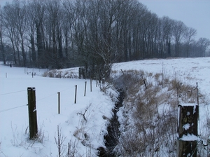 Gavere Januari 2013 025