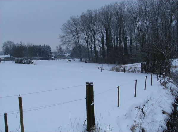 Gavere Januari 2013 026