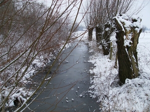 Gavere Januari 2013 027