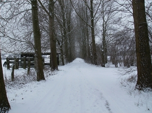 Gavere Januari 2013 029