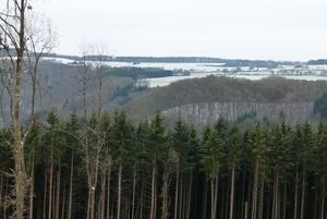 P1030796