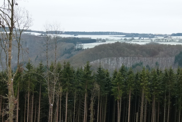 P1030796