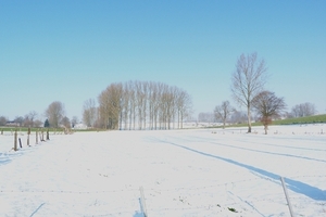 020-Winters landschap