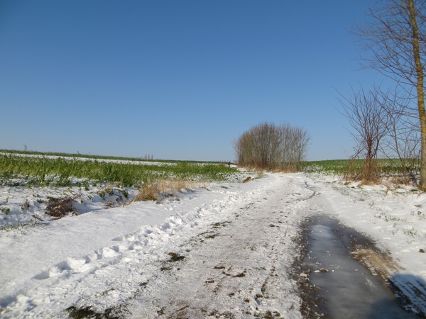 2013-01 16 Erwetegem 005