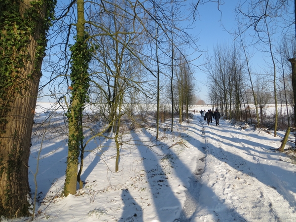 2013-01 16 Erwetegem 006