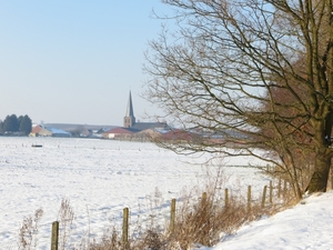 2013-01 16 Erwetegem 013