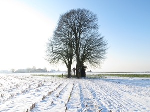 2013-01 16 Erwetegem 016