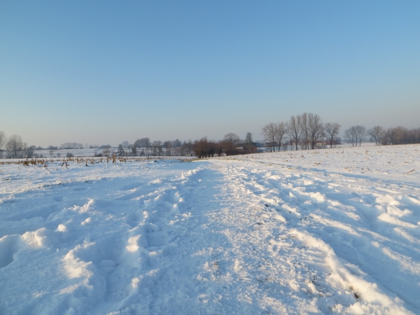 2013-01 16 Erwetegem 019